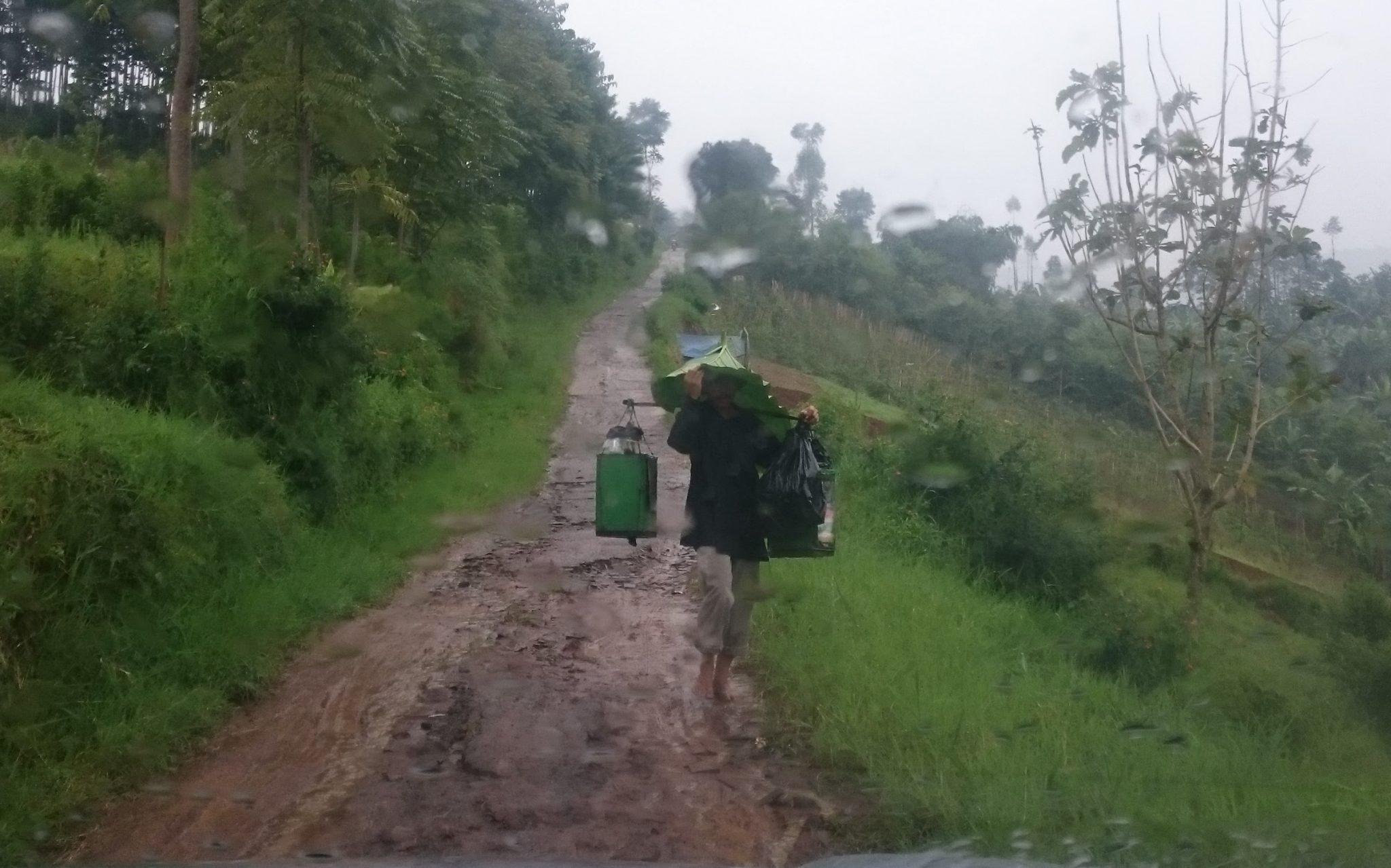 Berpayung Daun Talas 1 bakul
