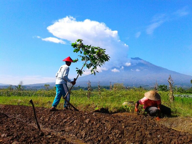 Danurejo Temanggung