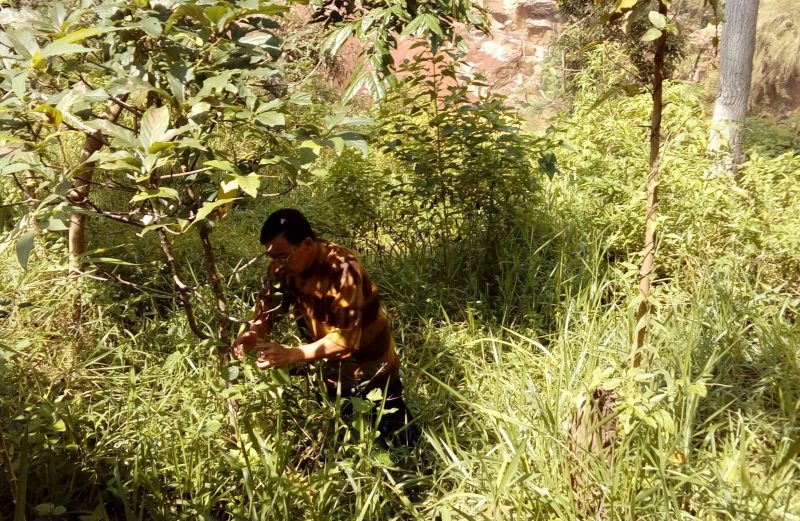 Tanah Menanggur Cimenyan Tanah Menganggur