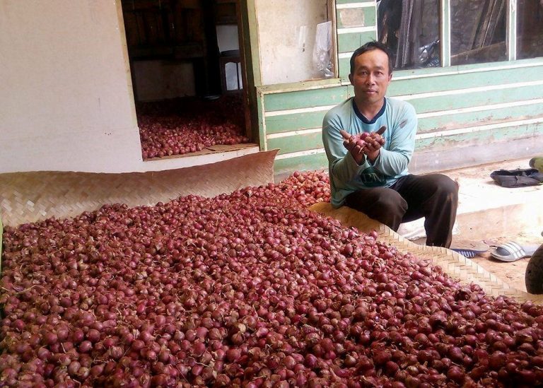 Mang Pendi, Bawang Merah dan Kopi