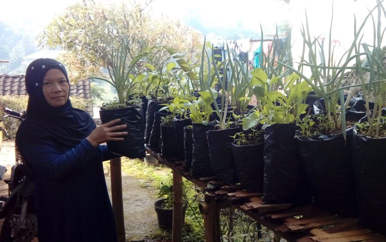 Tani Pekarangan, Rumah Sehat, Pendapatan Meningkat