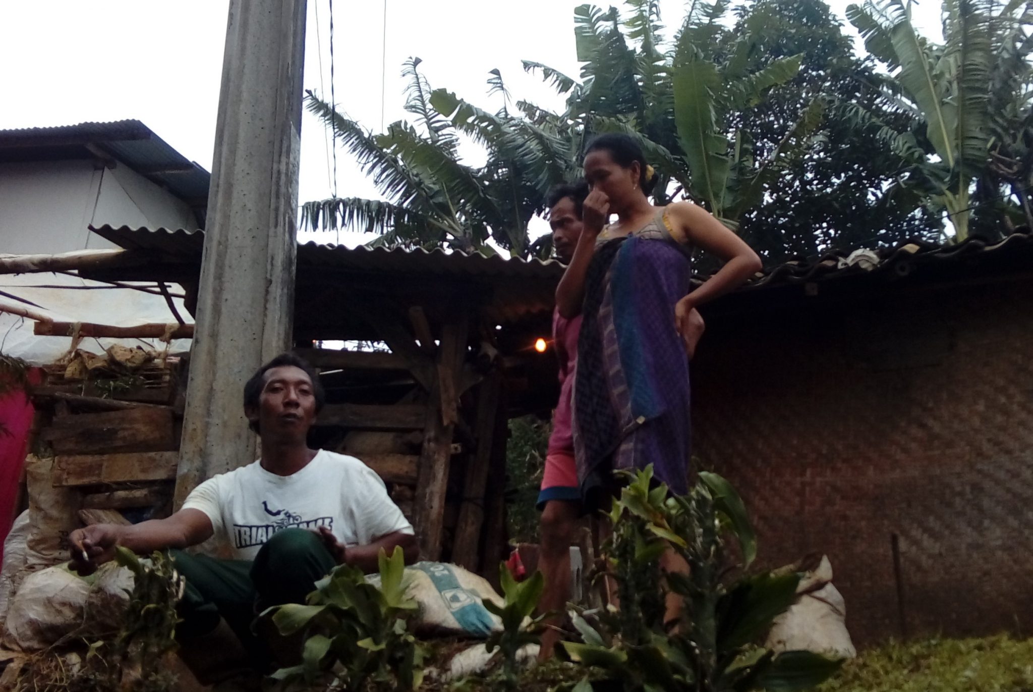 petani odesa indonesia