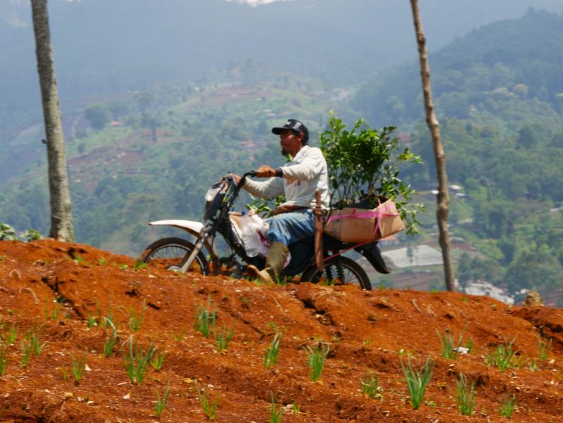 Kawasan Bandung Utara butuh solusi berbasis pertanian.