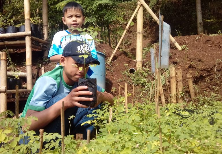 Kelor dan Pengalaman Memperbaharui Petani