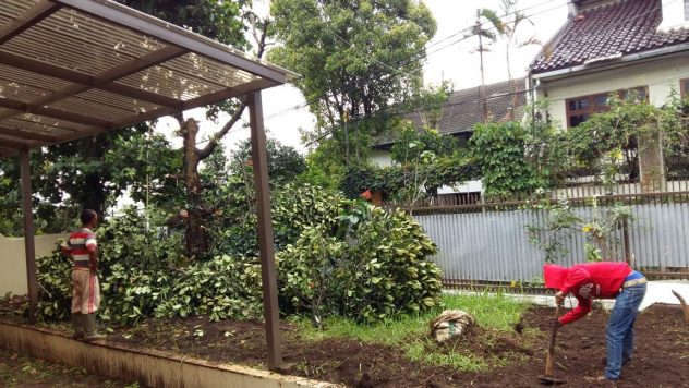 odesa pembibitan tanaman obat bandung