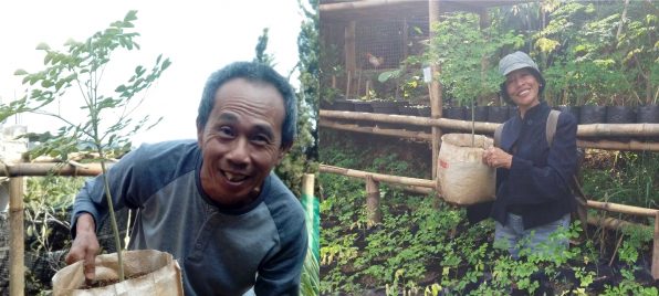 seniman tanam kelor bandung odesa