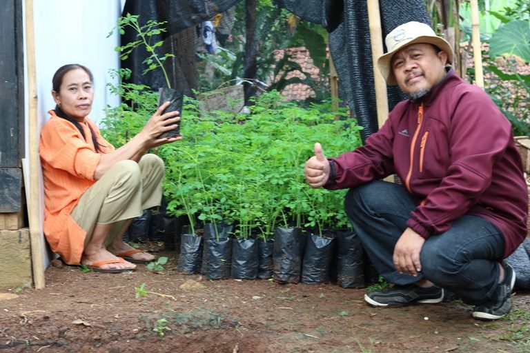 Inilah Cara Abdul Kabayan Mendorong Petani Menanam Kelor