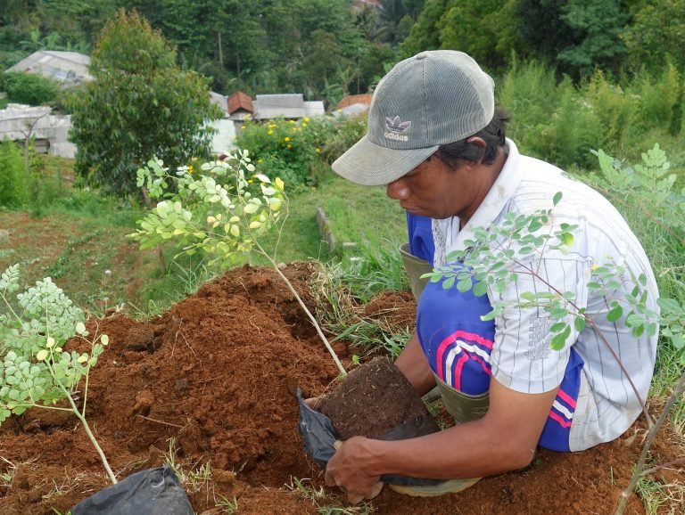 Wujudkan Mimpi Mang Toha Mengubah Nasib Petani