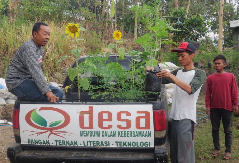 Didin Sudeni, Berwirausaha di Kota, Bertani di Desa