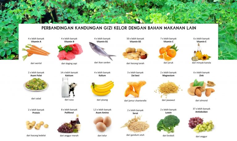 Kelor: Manfaat Gizi, Obat dan Solusi Stunting