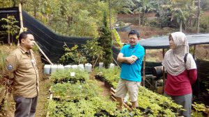 kelor mike rini