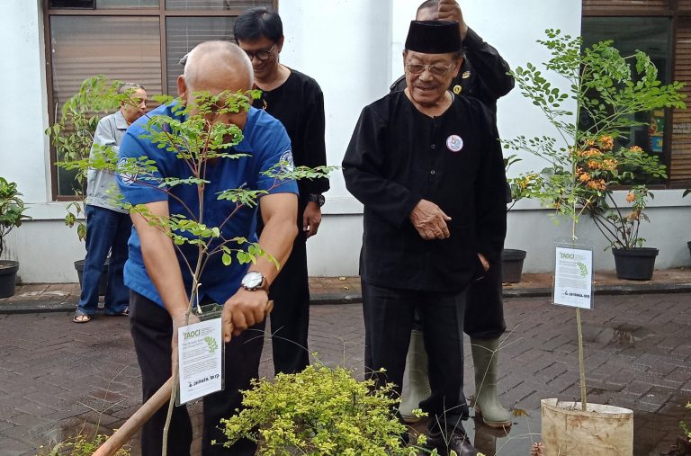 Mengapa Orang Kota Harus Menanam dan Memakan Kelor?