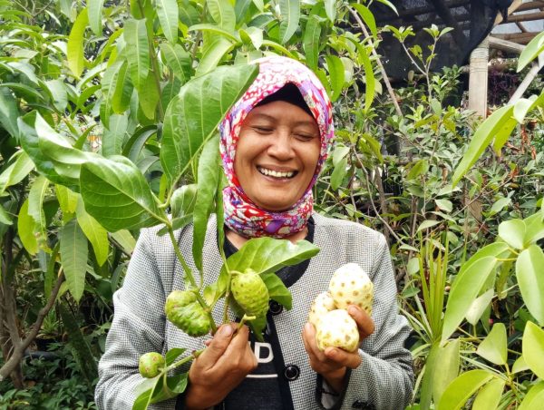 mengkudu odesa bandung