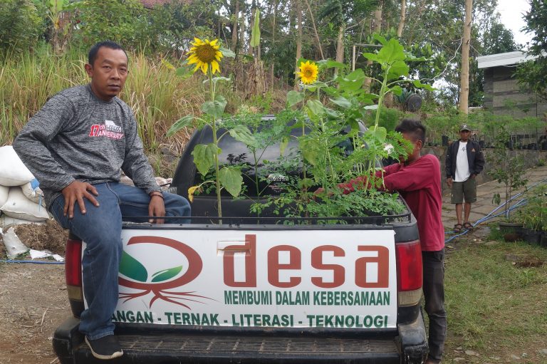 Urusan Sosial Gila Model Odesa Indonesia