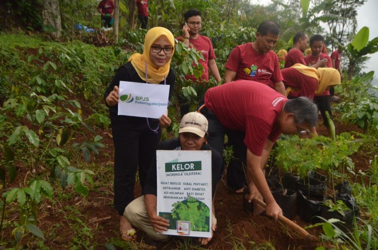 Peduli Lingkungan dan Gizi, Mereka Tanam Kelor