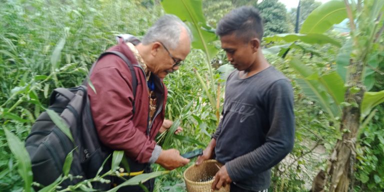 Pupuk Terbaik Penyubur Tanaman adalah Tanah yang Sehat