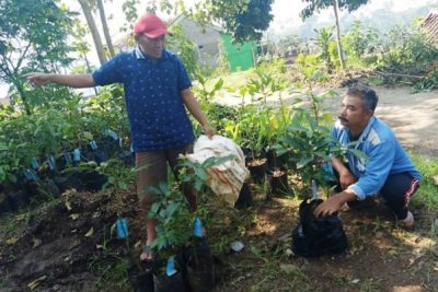 Inilah Solusi Usaha untuk Orang Desa