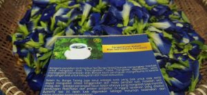 blue tea minuman anak