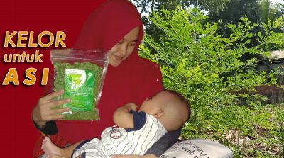 kelor untuk asi cancer diabetes 800X445 istri pungkit 2