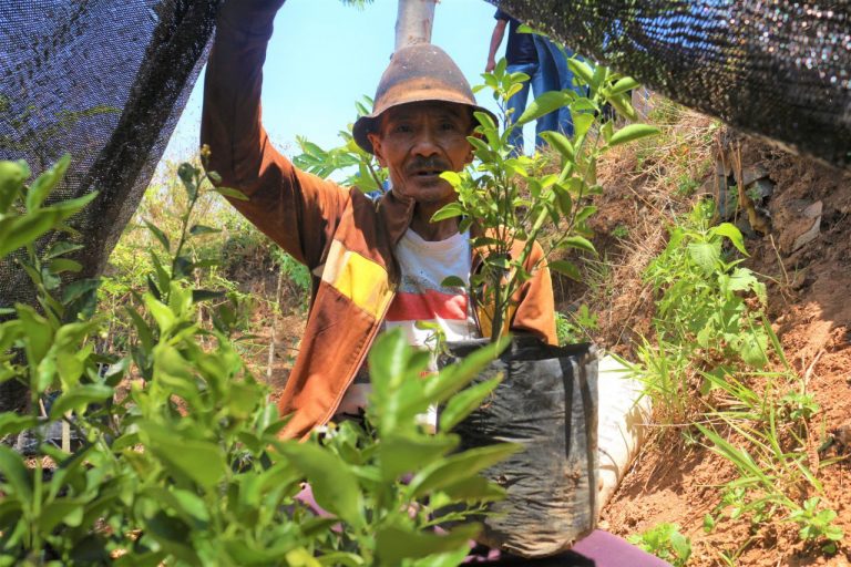 Kesejahteraan Pangan Ala Pak Tardi