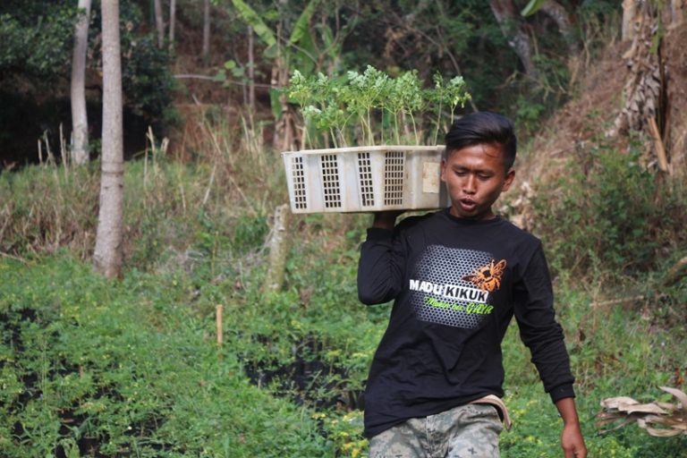 Berjuang Bersama Jajang: Bertani Agroforestry Mengatasi Erosi