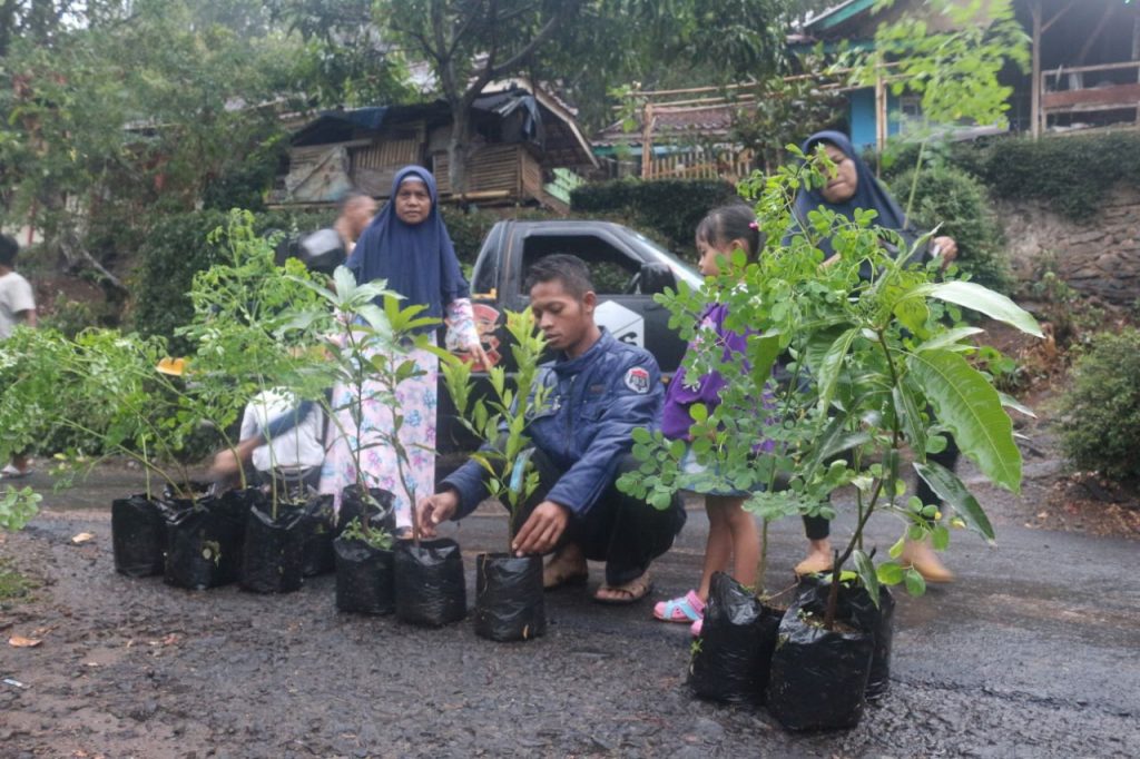 pembibitan-odesa-indonesia