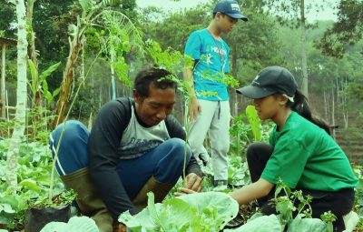Pohon Kehidupan: Jangan Tebas Harapan Anak 1 toha kelor budidaya manfaat bandung e1598952670453