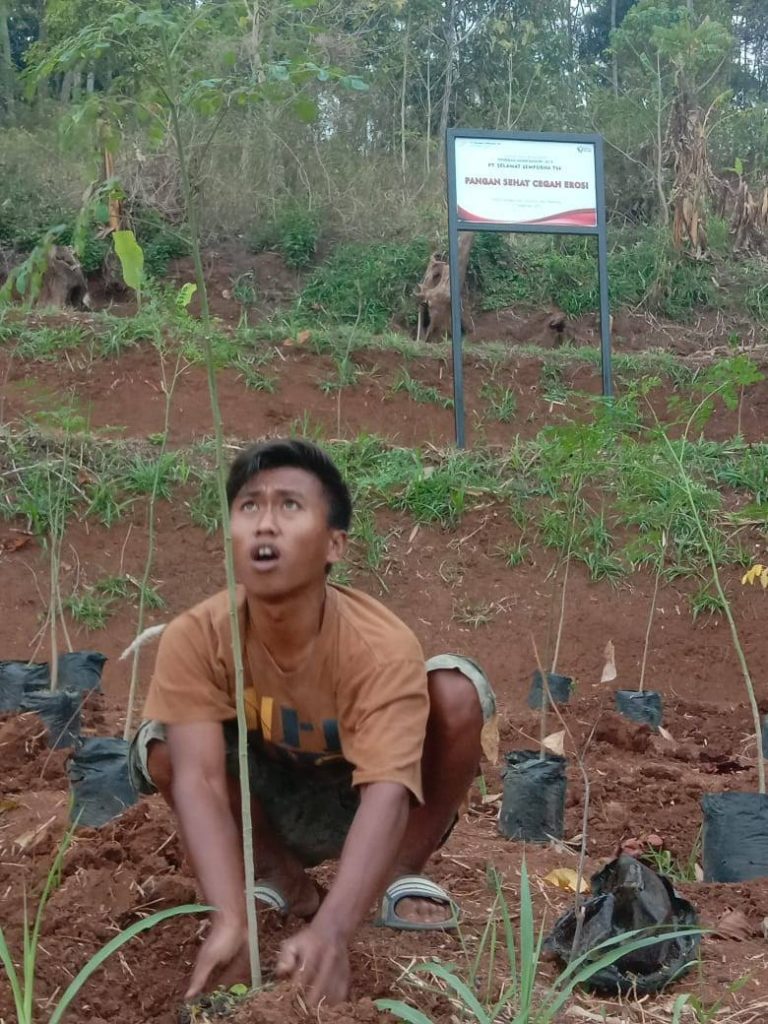 Banjir Bandung yayan-hadian-agroforistry