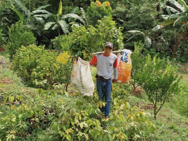 Memajukan Desa dengan Satu Desa Satu Pembibitan Tanaman