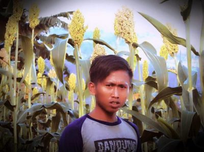 jajang sorgum petani bandung jual