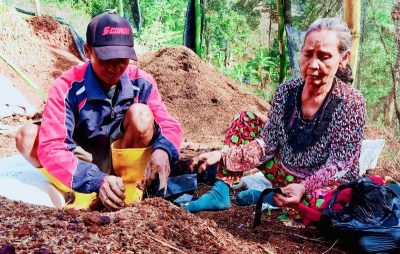 pembibitan tanaman bandung utara