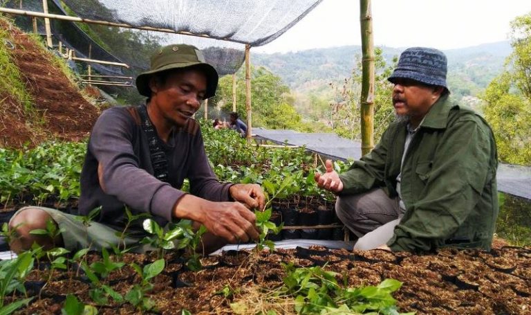 Pemerintah Harus Mendirikan Pembibitan Tiap Desa untuk Kawasan Bandung Utara