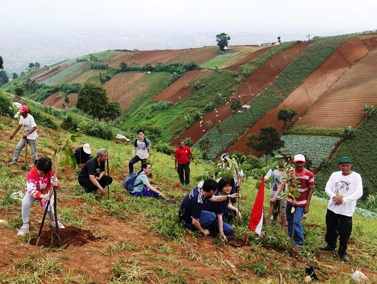 Puncak Bukit Cimenyan Erosi, Ribuan Bibit Dibagi kepada Petani