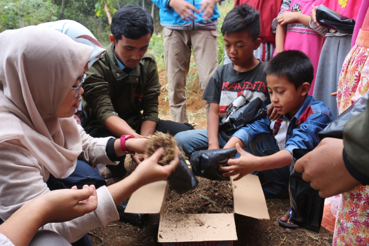 literasi tanam 2