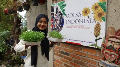 harti-microgreen microgreen-harti-odesa