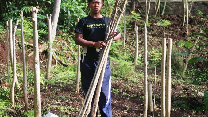 yayan hadian odesa indonesia