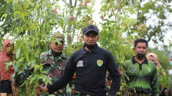 satgas citarum eppy odesa kawasan bandung utara tanam pohon