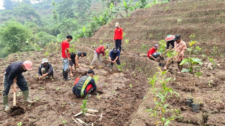 Alam Bandung Rusak Parah, Gerakan Menanam Terus dilanjutkan