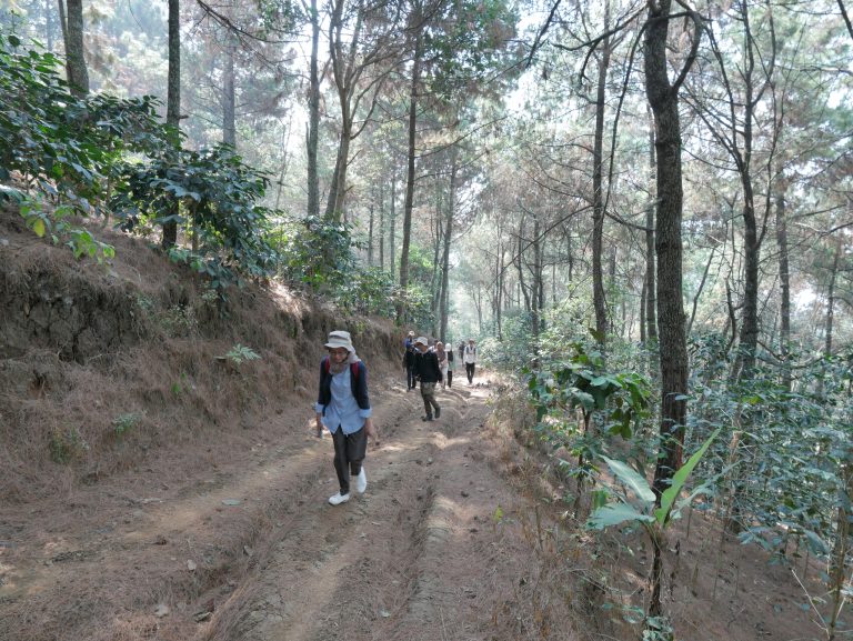 Empat Manfaat Hutan Yang Perlu Dipahami Aktivis