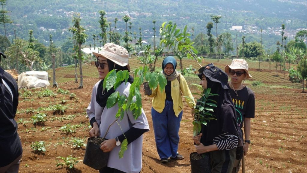 Desa, Berkebun, Aksi Tanam