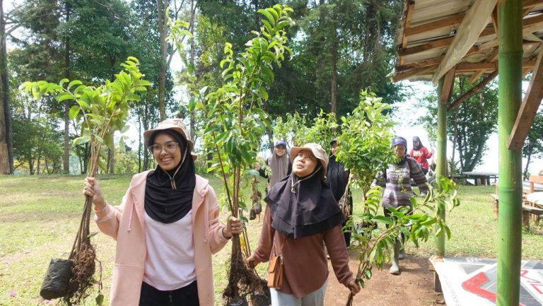 Manfaat Berkebun