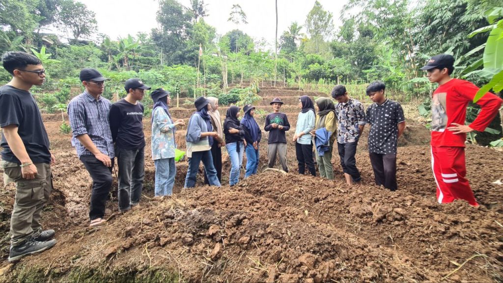 Persiapan lokasi menanam biji hanjeli dengan