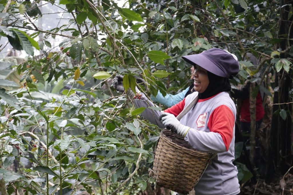 Ekofeminisme petani kopi