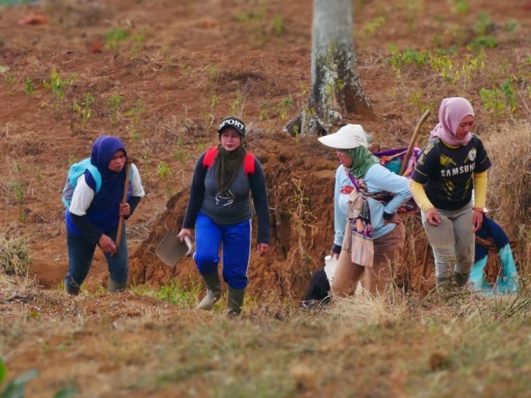 Dampak Perubahan Iklim Lebih Banyak Menimpa Perempuan