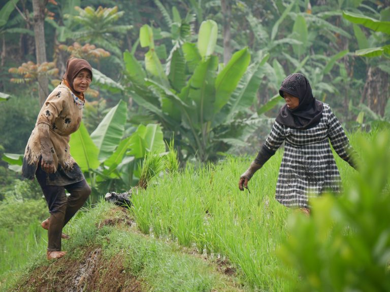 Bantu sejahterakan petani melalui zakat