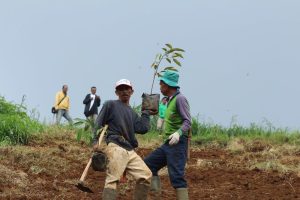 konservasi pertanian bandung utara