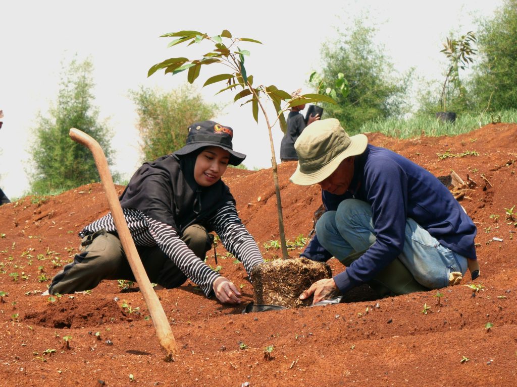 Harapan di ladang yang terlupakan