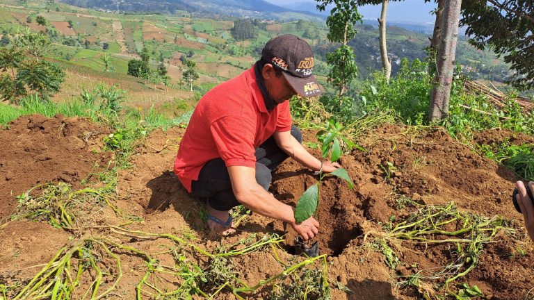 Gerakan ekologi Implementasi dan Dampaknya