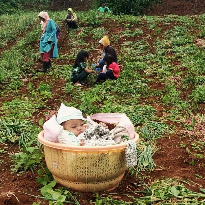 Sejarah, Pemikiran dan Contoh Program CSR (Corporate Social Responsibility)