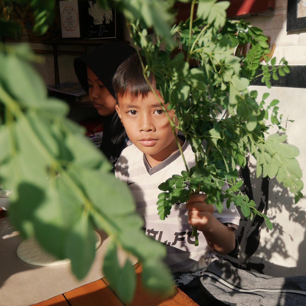 Landasan Filosofi Pendidikan Berkebun 